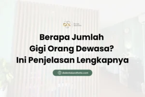 Berapa Jumlah Gigi Orang Dewasa? Ini Penjelasan Lengkapnya - DX Dental Aesthetic