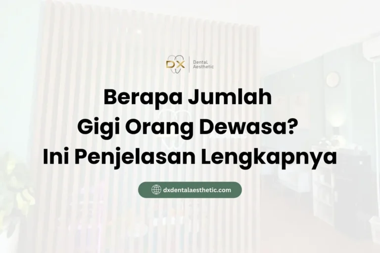Berapa Jumlah Gigi Orang Dewasa? Ini Penjelasan Lengkapnya - DX Dental Aesthetic