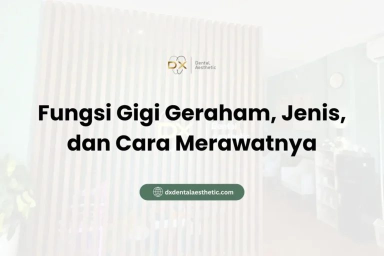 Fungsi Gigi Geraham, Jenis, dan Cara Merawatnya - DX Dental Aesthetic