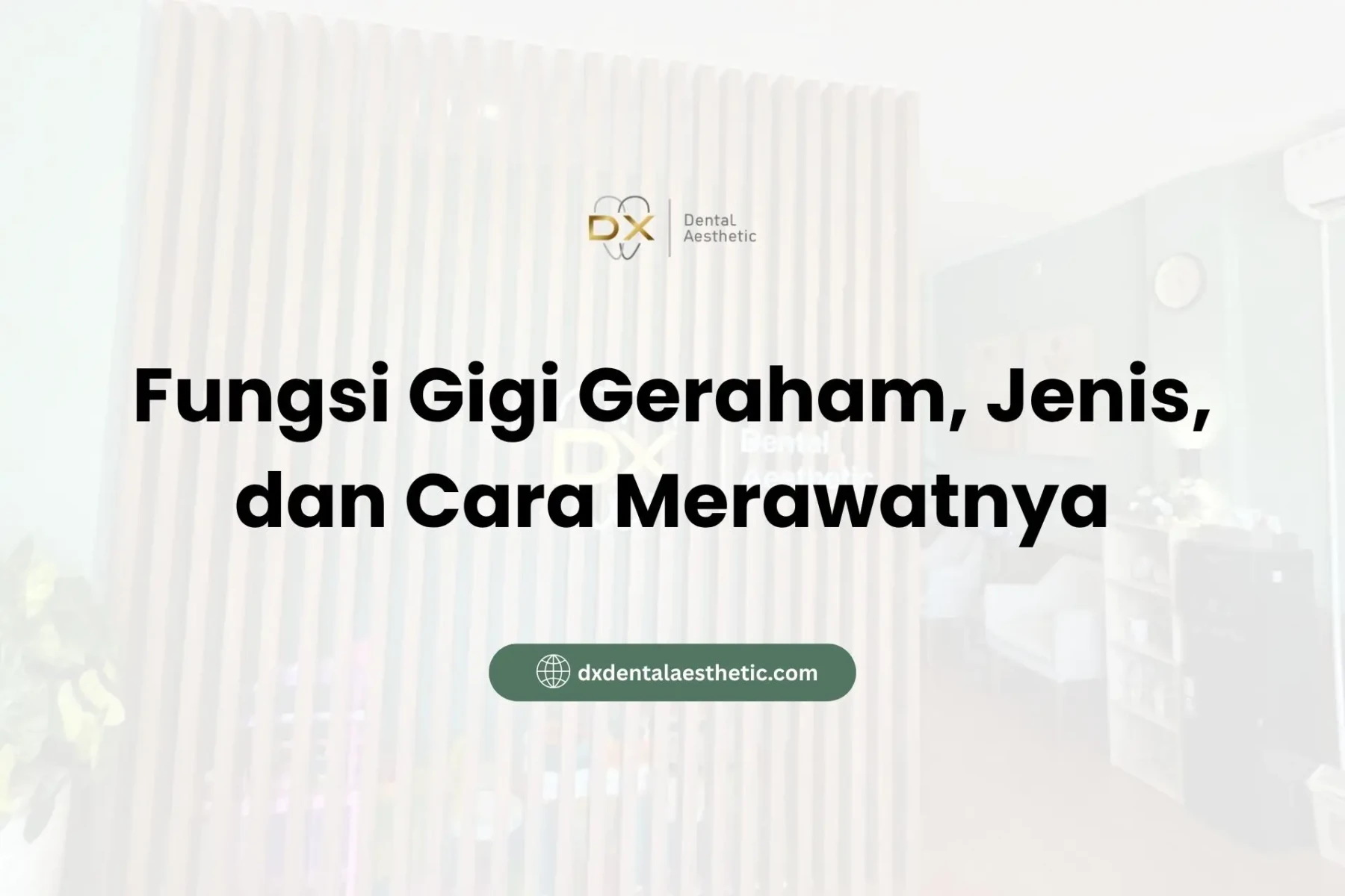Fungsi Gigi Geraham, Jenis, dan Cara Merawatnya - DX Dental Aesthetic